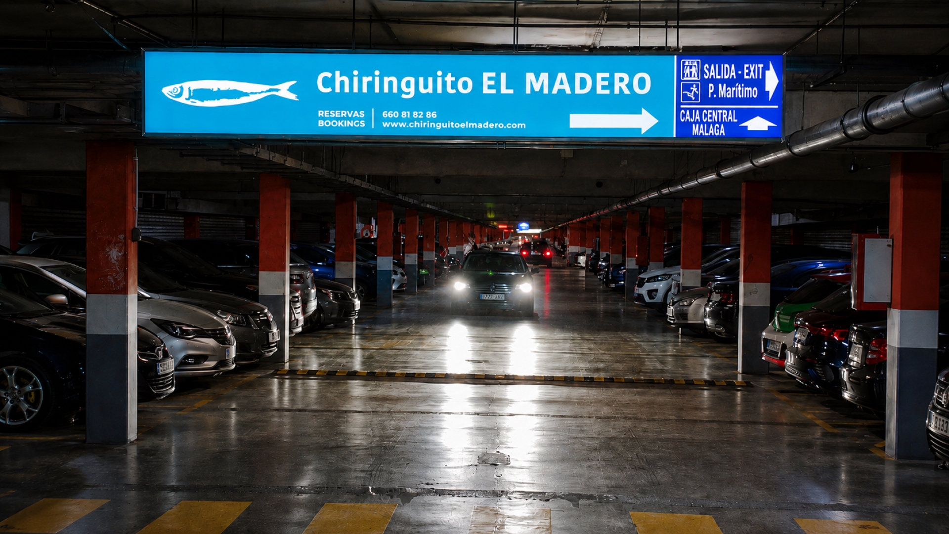 Luminoso publicitario   de  250x40 cm  en Estepona, Málaga