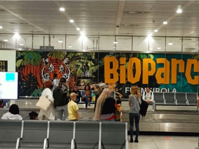 Vinilo indoor de 1390x302 cm en Málaga, Málaga