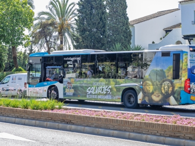 Autobus de Gran lateral Simple en Torremolinos, Málaga